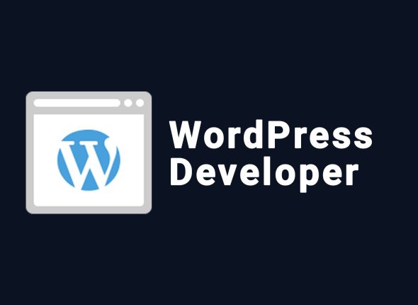 WordPress Developer