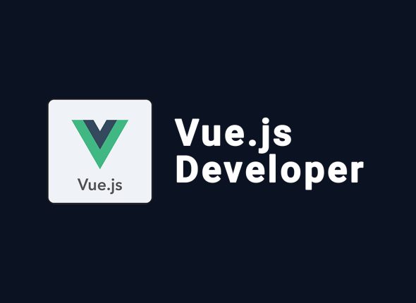 Vue.js Developer